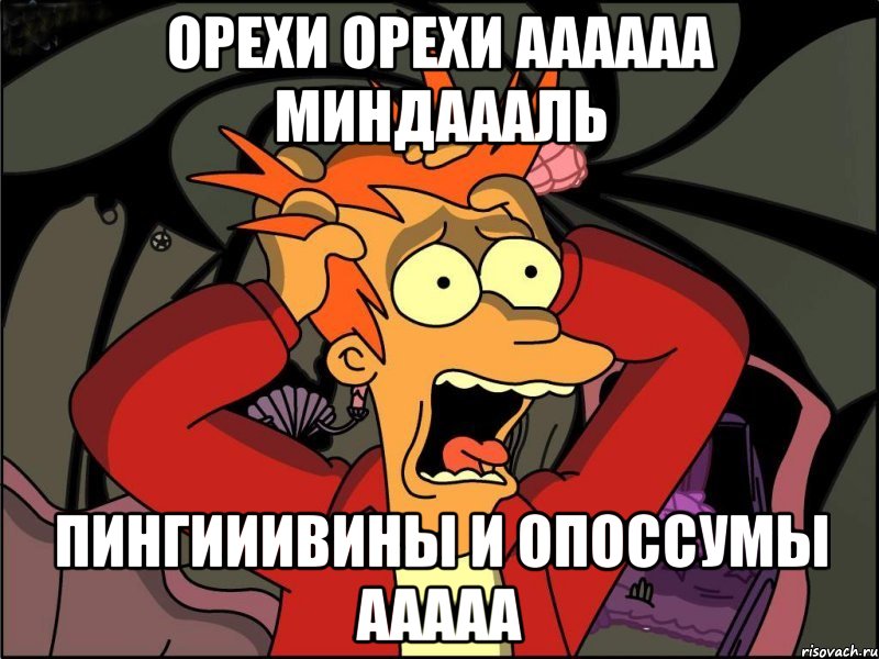 ОРЕХИ ОРЕХИ АААААА МИНДАААЛЬ ПИНГИИИВИНЫ И ОПОССУМЫ ААААА, Мем Фрай в панике