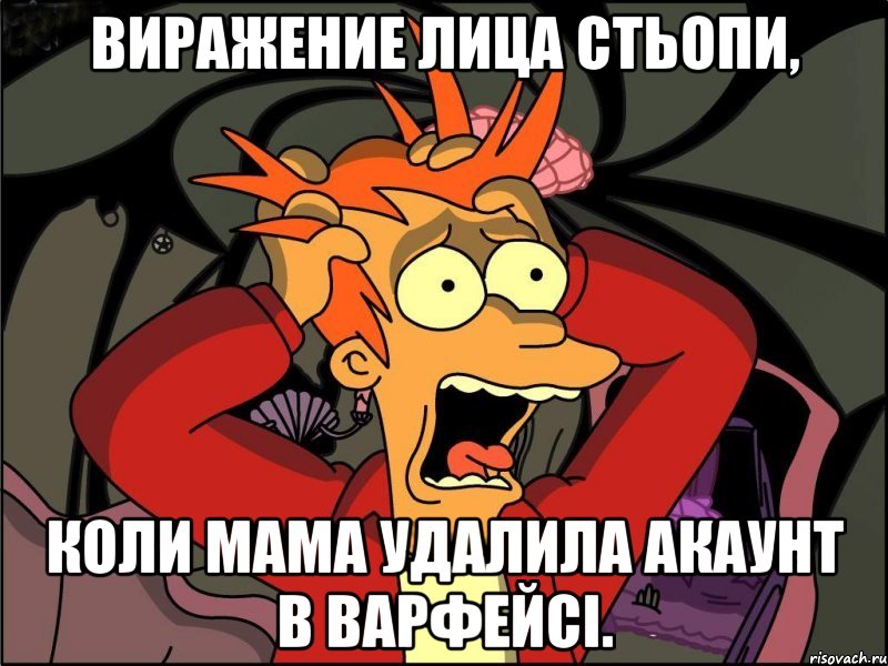 Виражение лица стьопи, коли мама удалила акаунт в Варфейсі., Мем Фрай в панике