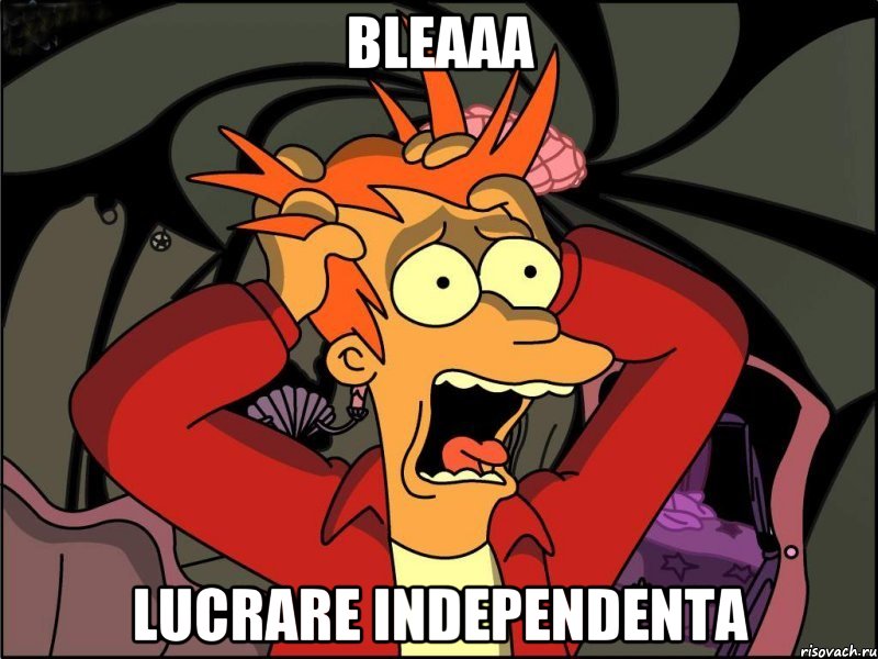 BLEAAa LUCRARE INDEPENDENTA, Мем Фрай в панике