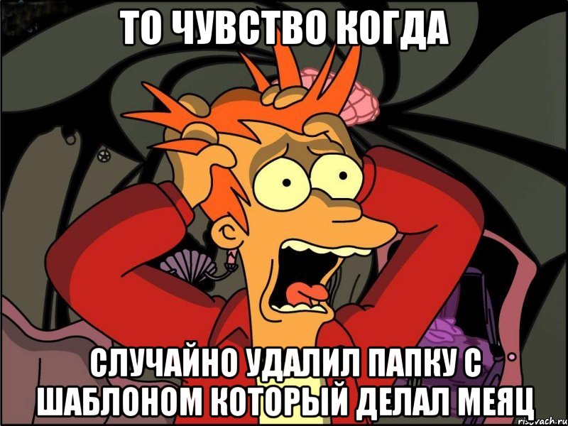 То чувство когда Случайно удалил папку с шаблоном который делал меяц, Мем Фрай в панике