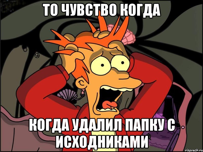 То чувство когда когда удалил папку с исходниками, Мем Фрай в панике