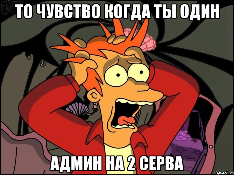 то чувство когда ты один админ на 2 серва, Мем Фрай в панике