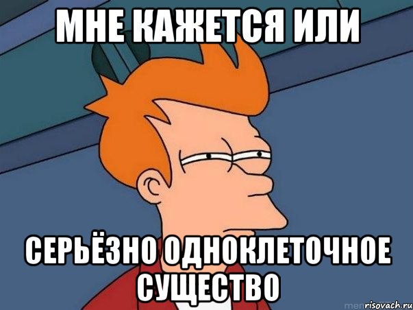 мне кажется или серьёзно одноклеточное существо, Мем  Фрай (мне кажется или)