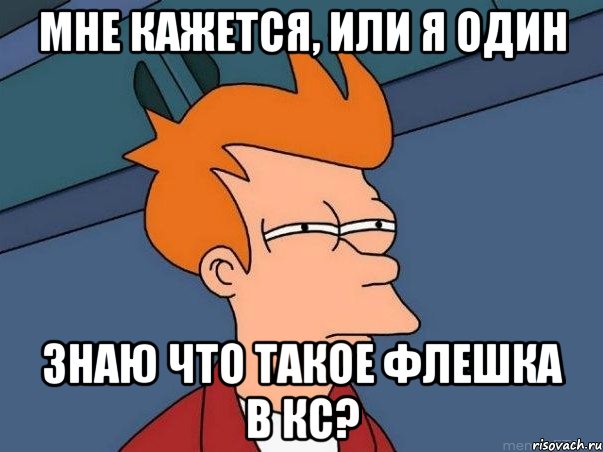 Мне кажется, или я один знаю что такое флешка в кс?, Мем  Фрай (мне кажется или)