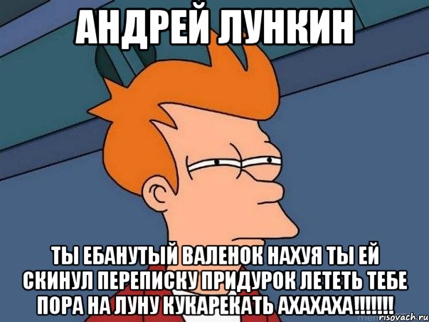 АНДРЕЙ ЛУНКИН ТЫ ЕБАНУТЫЙ ВАЛЕНОК НАХУЯ ТЫ ЕЙ СКИНУЛ ПЕРЕПИСКУ ПРИДУРОК ЛЕТЕТЬ ТЕБЕ ПОРА НА ЛУНУ КУКАРЕКАТЬ АХАХАХА!!!!!!!, Мем  Фрай (мне кажется или)