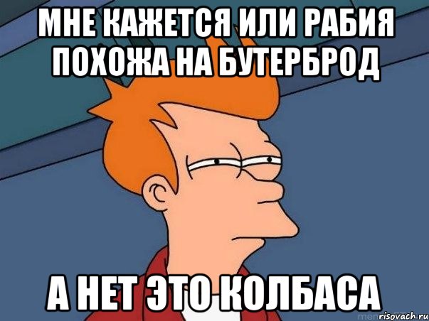 МНЕ КАЖЕТСЯ ИЛИ РАБИЯ ПОХОЖА НА БУТЕРБРОД А НЕТ ЭТО КОЛБАСА, Мем  Фрай (мне кажется или)