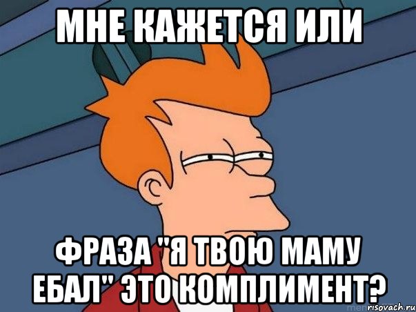 Мне кажется или фраза "Я твою маму ебал" это комплимент?, Мем  Фрай (мне кажется или)