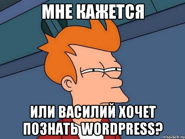 МНЕ КАЖЕТСЯ ИЛИ ВАСИЛИЙ ХОЧЕТ ПОЗНАТЬ WORDPRESS?, Мем  Фрай (мне кажется или)