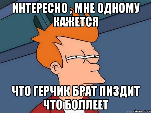 Интересно , мне одному кажется Что Герчик брат пиздит что боллеет, Мем  Фрай (мне кажется или)