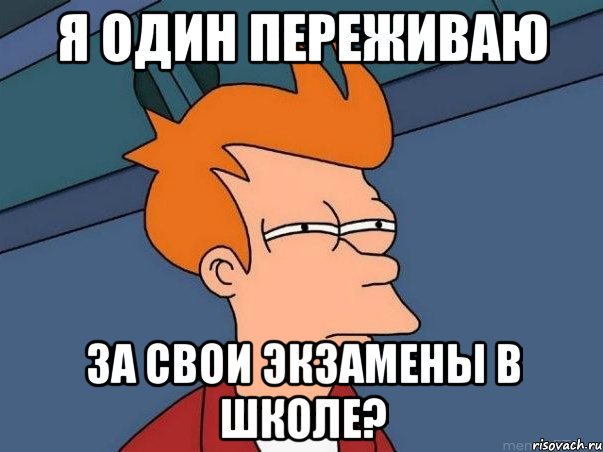 я один переживаю за свои экзамены в школе?, Мем  Фрай (мне кажется или)