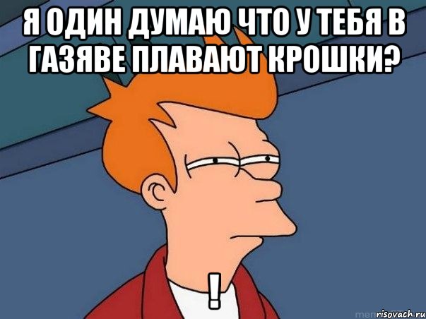 я один думаю что у тебя в газяве плавают крошки? !, Мем  Фрай (мне кажется или)