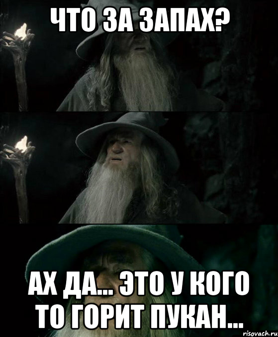 Что за запах? Ах да... Это у кого то горит пукан..., Комикс Гендальф заблудился