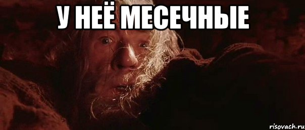 у неё месечные , Мем Гендальф (Бегите глупцы)