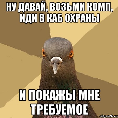 Ну давай, возьми комп, иди в каб охраны и покажы мне требуемое, Мем голубь