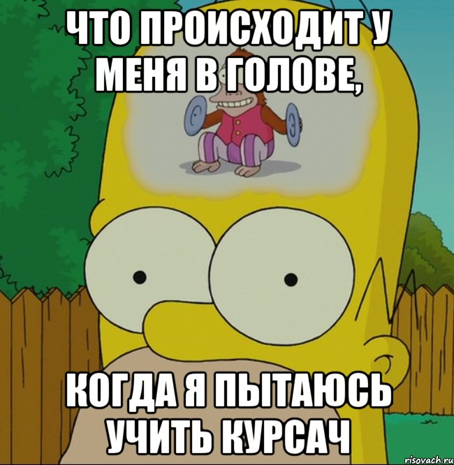 Что происходит у меня в голове, Когда я пытаюсь учить курсач, Мем  Гомер Симпсон