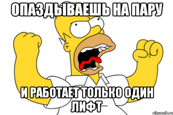 опаздываешь на пару и работает только один лифт, Мем Разъяренный Гомер