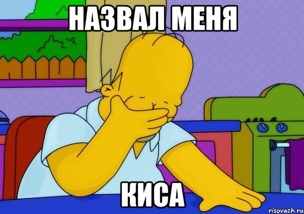 НАЗВАЛ МЕНЯ КИСА, Мем Homer simpson facepalm