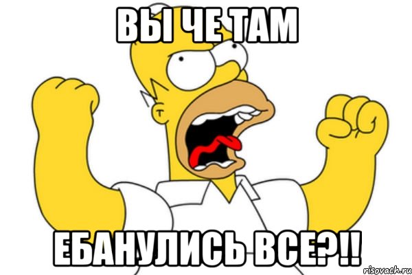 вы че там ебанулись все?!!, Мем Разъяренный Гомер