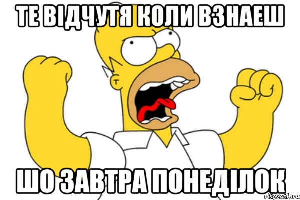 Те відчутя коли взнаеш шо завтра понеділок, Мем Разъяренный Гомер