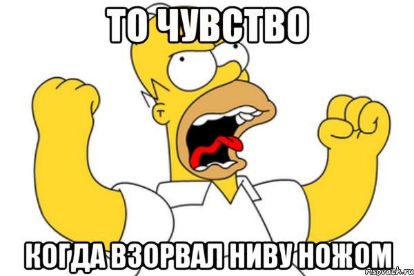 ТО ЧУВСТВО КОГДА ВЗОРВАЛ НИВУ НОЖОМ, Мем Разъяренный Гомер