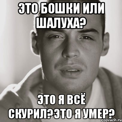 Это бошки или шалуха? Это я всё скурил?это я умер?, Мем Гуф