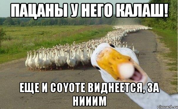 Пацаны у него Калаш! Еще и Coyote виднеется, за нииим, Мем гуси