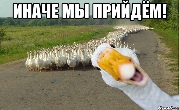 ИНАЧЕ МЫ ПРИЙДЁМ! , Мем гуси