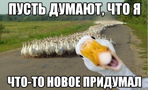 Пусть думают, что я что-то новое придумал, Мем гуси