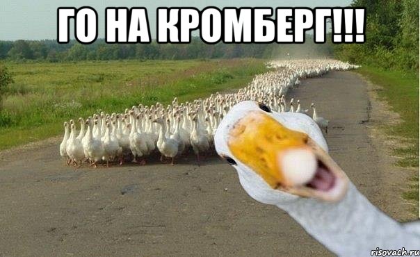 го на кромберг!!! , Мем гуси