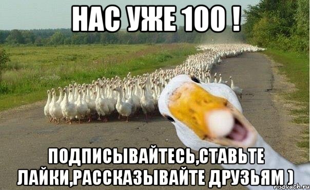 Нас уже 100 ! Подписывайтесь,ставьте лайки,рассказывайте друзьям ), Мем гуси