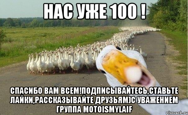 Нас уже 100 ! Спасибо вам всем!Подписывайтесь,ставьте лайки,рассказывайте друзьям)С уважением группа MotoIsMyLaif, Мем гуси