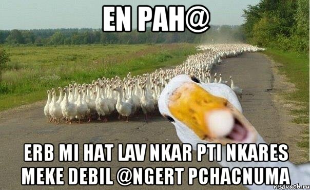 En pah@ erb mi hat lav nkar pti nkares meke debil @ngert pchacnuma, Мем гуси