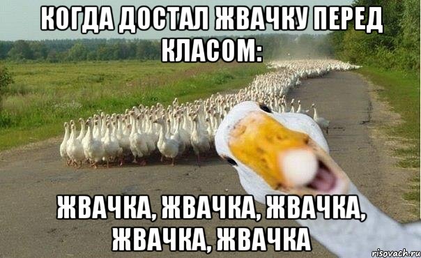 Когда достал жвачку перед класом: Жвачка, жвачка, жвачка, жвачка, жвачка, Мем гуси