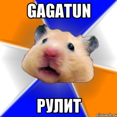 gagatun рулит, Мем Хомяк