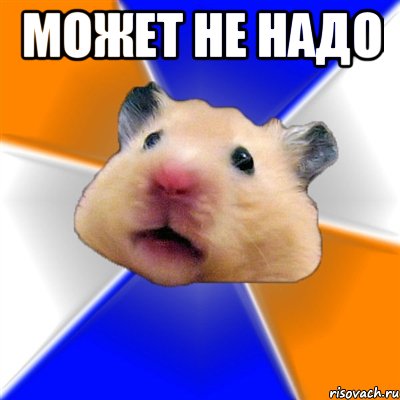 может не надо , Мем Хомяк