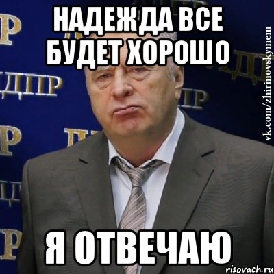 Надежда все будет хорошо я отвечаю, Мем Хватит это терпеть (Жириновский)