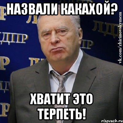 назвали какахой? хватит это терпеть!, Мем Хватит это терпеть (Жириновский)