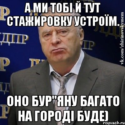 А ми тобі й тут стажировку устроїм. оно бур"яну багато на городі буде), Мем Хватит это терпеть (Жириновский)