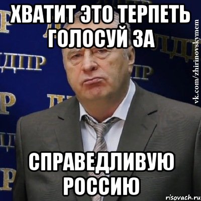 Хватит это терпеть голосуй за Справедливую Россию, Мем Хватит это терпеть (Жириновский)