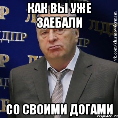 КАК ВЫ УЖЕ ЗАЕБАЛИ СО СВОИМИ ДОГАМИ, Мем Хватит это терпеть (Жириновский)