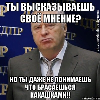 Ты высказываешь своё мнение? Но ты даже не понимаешь что брасаешься какашками!!, Мем Хватит это терпеть (Жириновский)