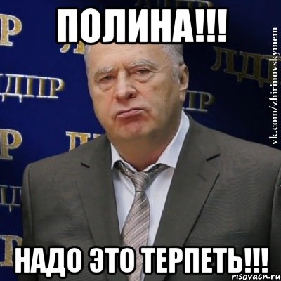 Полина!!! Надо это терпеть!!!, Мем Хватит это терпеть (Жириновский)