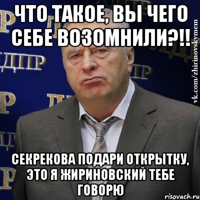 Что такое, вы чего себе возомнили?!! Секрекова подари открытку, это я Жириновский тебе говорю, Мем Хватит это терпеть (Жириновский)