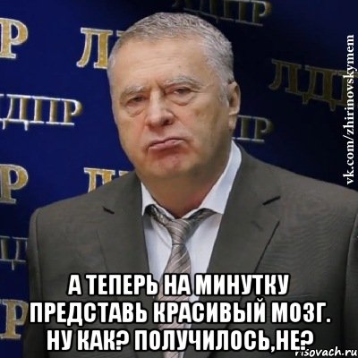  А ТЕПЕРЬ НА МИНУТКУ ПРЕДСТАВЬ КРАСИВЫЙ МОЗГ. НУ КАК? ПОЛУЧИЛОСЬ,НЕ?, Мем Хватит это терпеть (Жириновский)