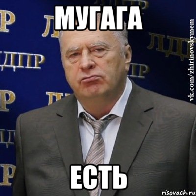 мугага есть, Мем Хватит это терпеть (Жириновский)