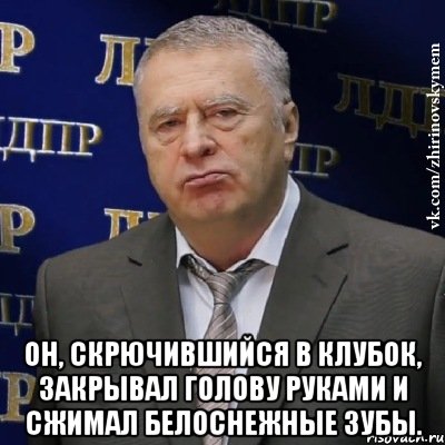  Он, скрючившийся в клубок, закрывал голову руками и сжимал белоснежные зубы., Мем Хватит это терпеть (Жириновский)