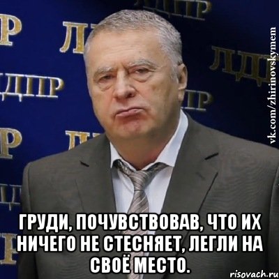  Груди, почувствовав, что их ничего не стесняет, легли на своё место., Мем Хватит это терпеть (Жириновский)