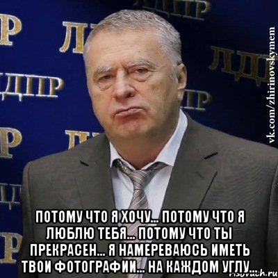  Потому что я хочу... потому что я люблю тебя... потому что ты прекрасен... я намереваюсь иметь твои фотографии... на каждом углу..., Мем Хватит это терпеть (Жириновский)