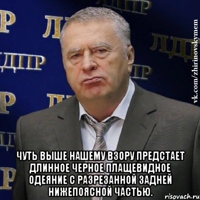  Чуть выше нашему взору предстает длинное черное плащевидное одеяние с разрезанной задней нижепоясной частью., Мем Хватит это терпеть (Жириновский)