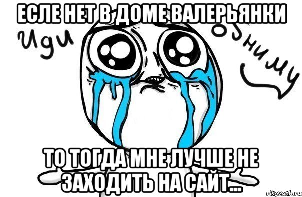 Есле нет в доме валерьянки То тогда мне лучше не заходить на сайт..., Мем Иди обниму